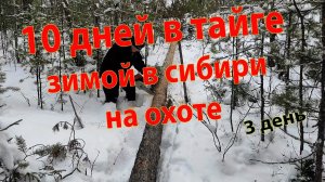 10 дней в тайге зимой на охоте в Сибири 3 день