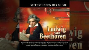 Symphony No. 5 in C Minor, Op. 67: I. Allegro con brio