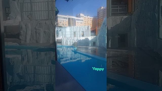 в зоопарке смотреть онлайн
