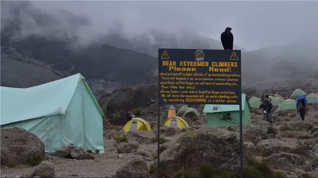 Journey to Mt. Kilimanjaro смотреть онлайн