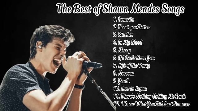 The Best Of Shawn Mendes Songs