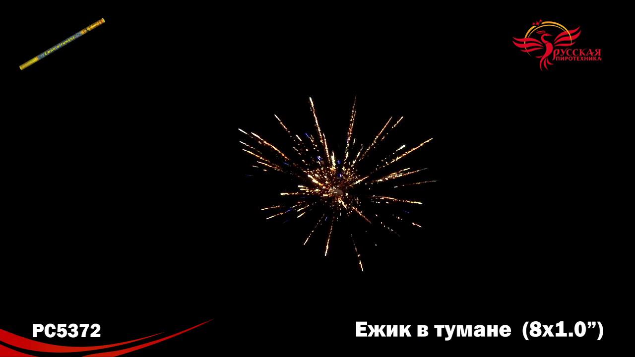 РС5372 Римская свеча "Ёжик в тумане" (1,0"х8) 1/24/2 смотреть онлайн