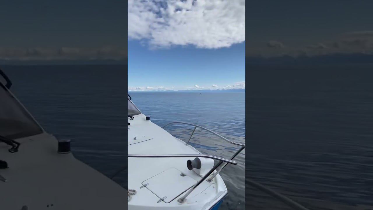 Путешествие по Байкалу❤️#baikal #travel #lakebaikal #nature #lakebaikalrussia #природа #mountains