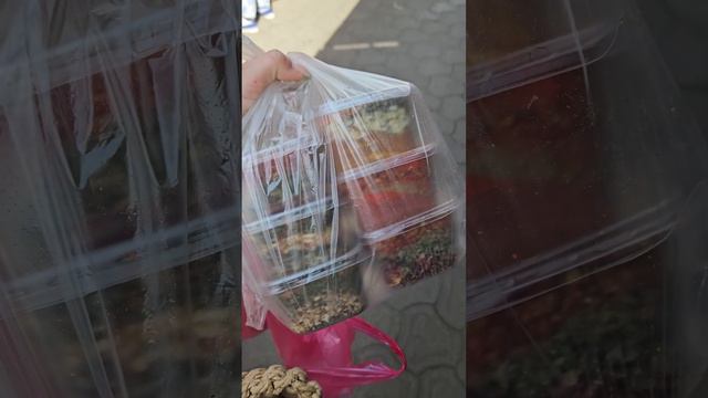 Лучшие специи в Анапе #анапа #анапасегодня #анапапляжи смотреть онлайн