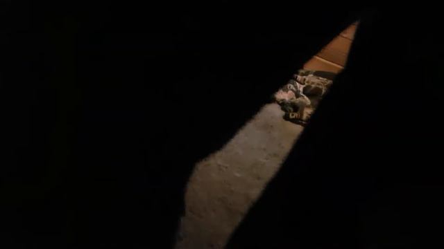 Destiny 2 Limited Edition Bundle PS4 PRO Unboxing смотреть онлайн