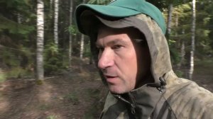 По грибы! Грибные новости Владимирская область! 2024г 10 июня!