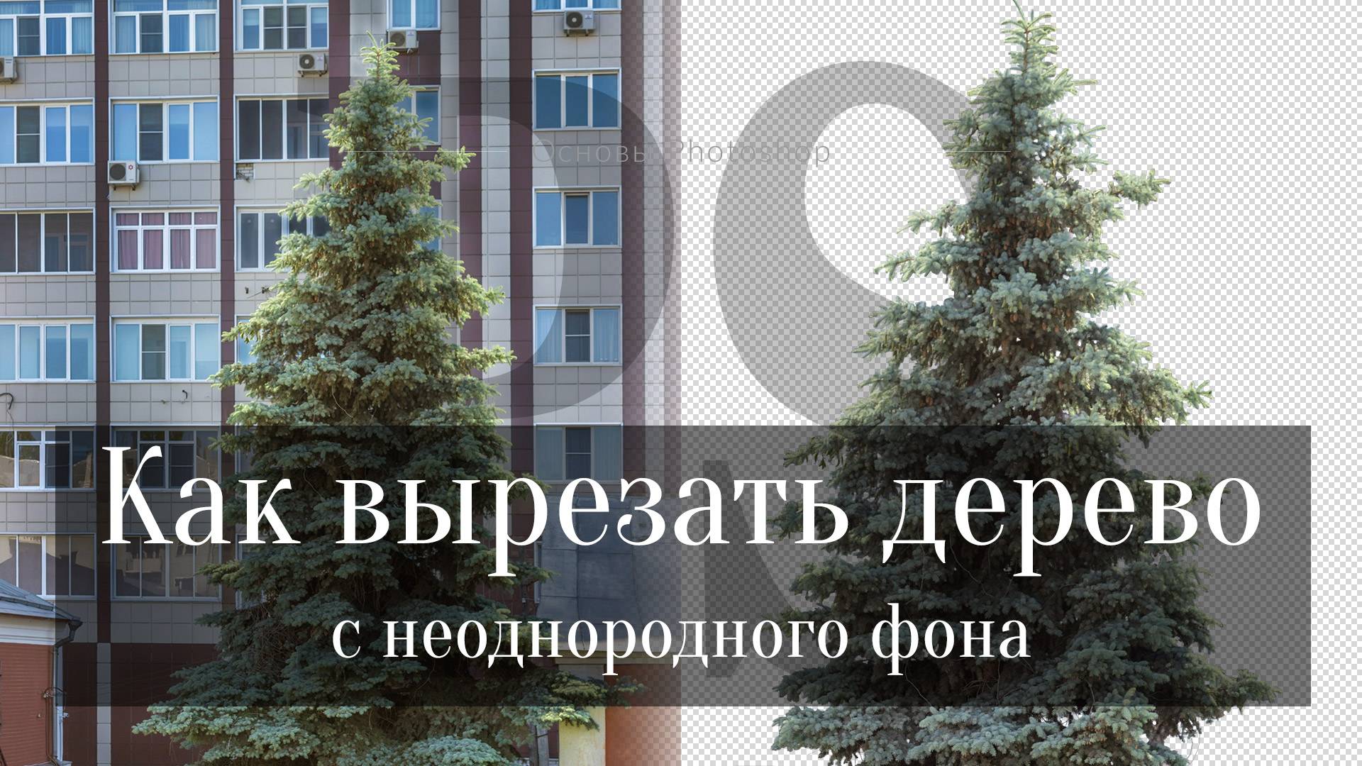 Как вырезать деревья с неоднородного фона в Фотошопе смотреть онлайн