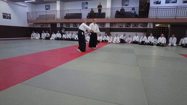 Хироюки Сакураи. Международный семинар айкидо. Клуж-Напока, Румыния (2023) - 1 Тренировка
