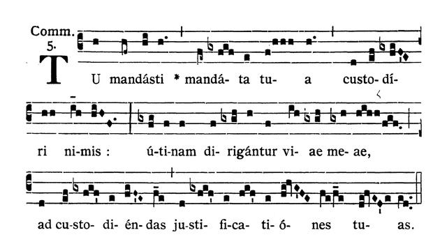 Choir of St Peter’s Eastern Hill: Tu mandasti смотреть онлайн