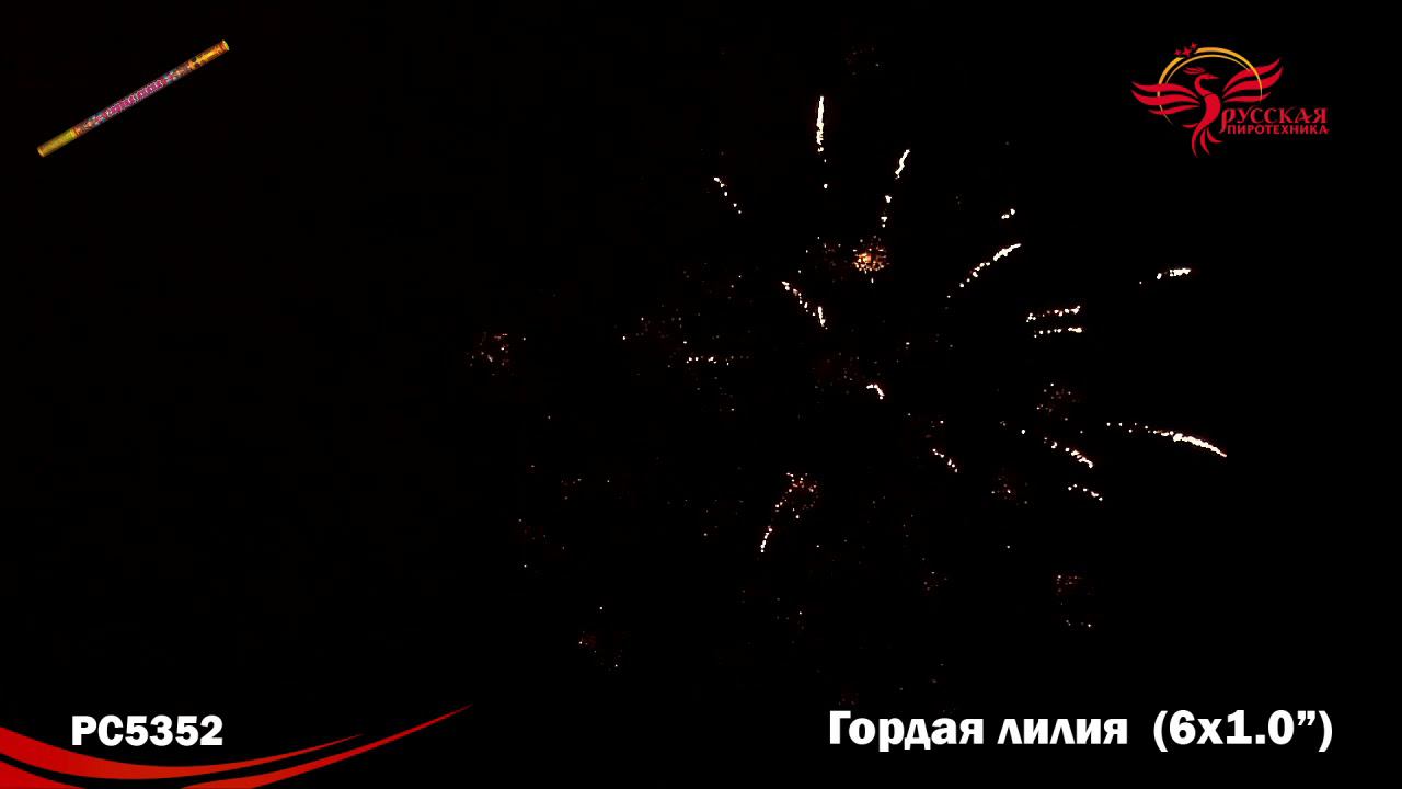 РС5352 Римская свеча "Гордая лилия" (1,0"х6) 1/12/4 смотреть онлайн