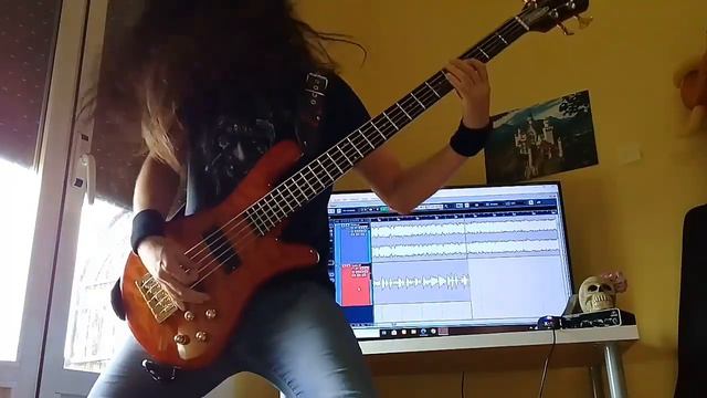 The Unguided - Death's Sting bass cover смотреть онлайн