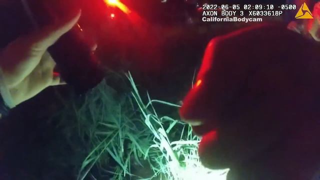 Bodycam DUI Arrest - 19 Year-Old Woman Crashes Her Car and Get Arrested for DUI смотреть онлайн