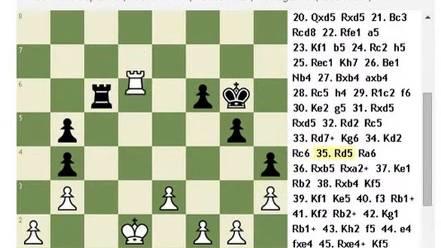Isam Ortiz vs Judit Polgar смотреть онлайн