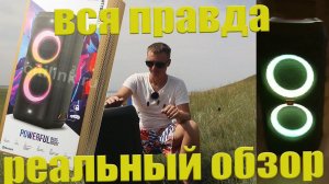 JBL Party Box 300 Обзор и отзыв стоит ли её покупать? Отвечу...
