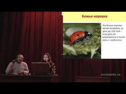 Полезные насекомые смотреть онлайн