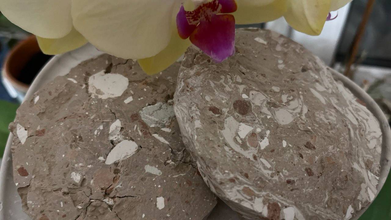 ASMR crunch of cookies &chalk_ Печеньки из Туркестанов и мелок💥💦❤️_🔥#asmr #chalk #asmrsounds #cla смотреть онлайн