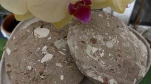 ASMR crunch of cookies &chalk_ Печеньки из Туркестанов и мелок💥💦❤️_🔥#asmr #chalk #asmrsounds #cla