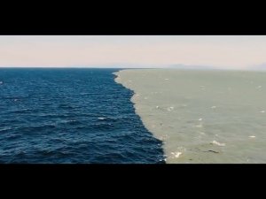 Как такое возможно? Моря, которые не соединяются друг с другом. #ГАЛОКЛИН