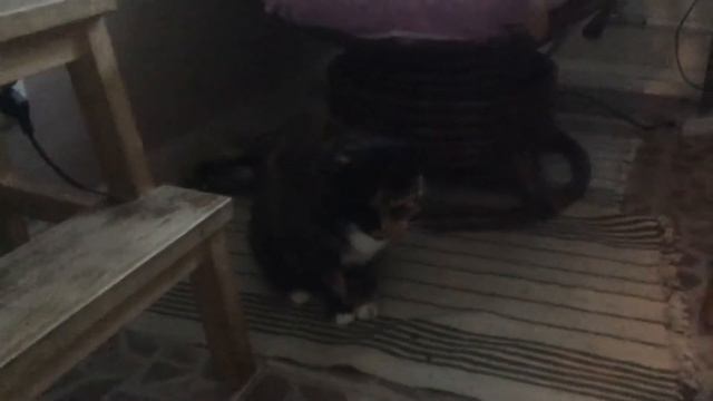 Марфа Васильевна смотреть онлайн