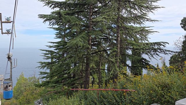 Отправление вагончика канатной дороги на пляж санатория «Горный» в Курпатах смотреть онлайн