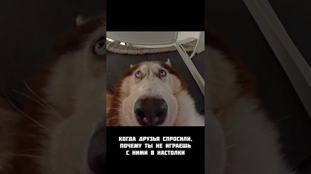 Когда друзья застали врасплох... Было такое?