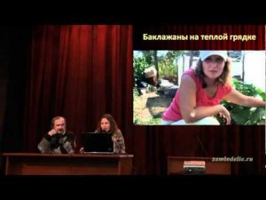 Выращивание баклажанов