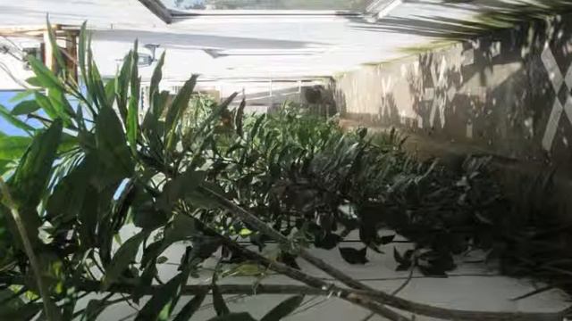 Hostal Poseidon del Mar en San Andrés смотреть онлайн