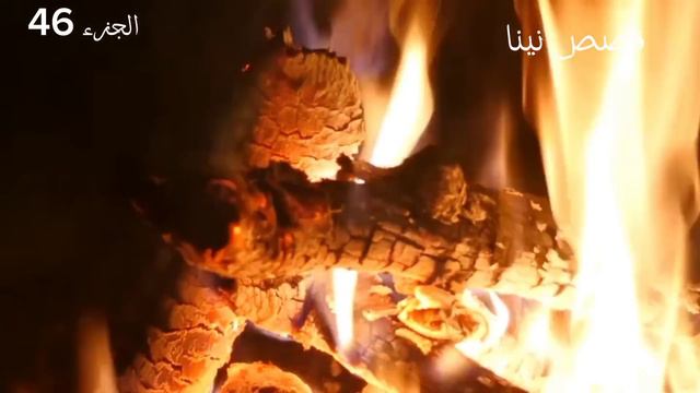زواج اجباري 🔞لحقت نهايتي مع مروان ولازم نتفارقو😰#قصص_واقعية смотреть онлайн