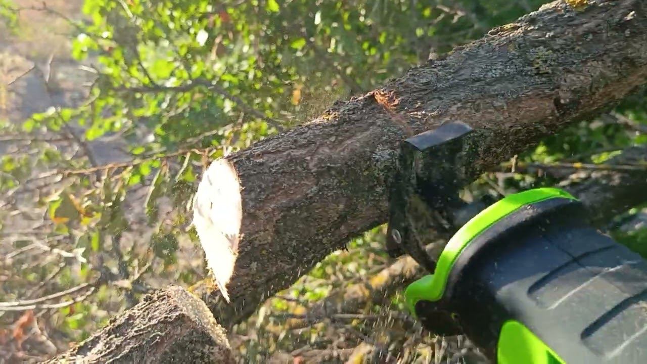 Обзор сабельной пилы Greenworks GPT-BLRS-1: отличный помощник в саду и настройке смотреть онлайн