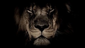 Sagi Abitbul & Guy Haliva - Stanga (Slowed n reverb Remix)