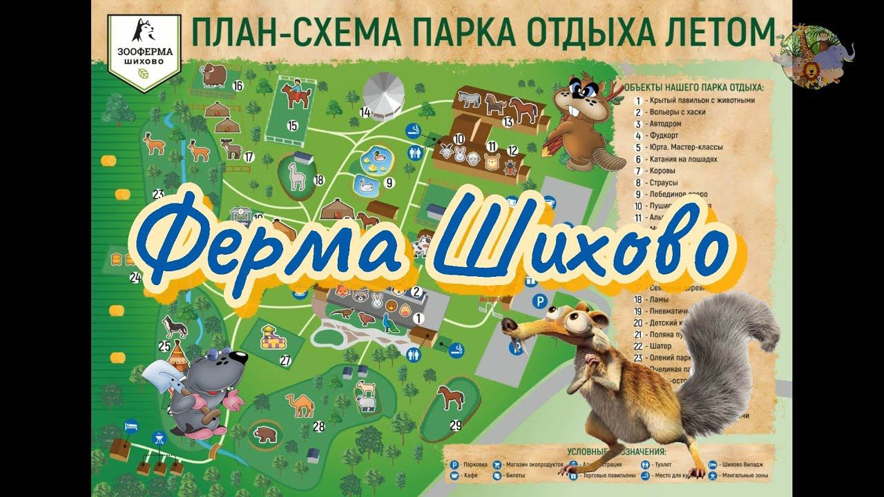 ЖИВОТНЫЕ ДЛЯ ДЕТЕЙ.БОЛЬШОЕ ПУТЕШЕСТВИЯ В ДИКУЮ ПРИРОДУ. ЗООФЕРМА ШИХОВО КОРМИМ ПЯТНИСТЫХ ОЛЕНИЙ ЛАНЬ смотреть онлайн