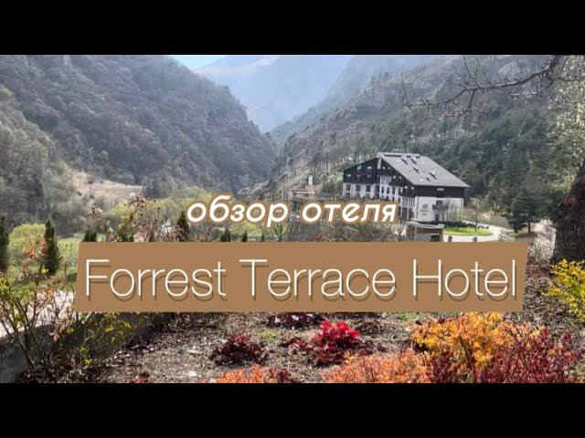 Обзор отеля «FORREST TERRACE»VLOGиз Владикавказа️☀️