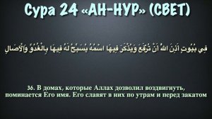 Сура 24 ан-Нур (арабские и русские титры) - Мухаммад Люхайдан