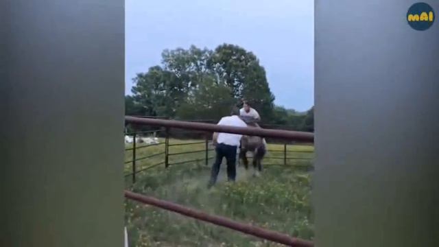 Fails Compilation - Fails of the week | Mal fails смотреть онлайн