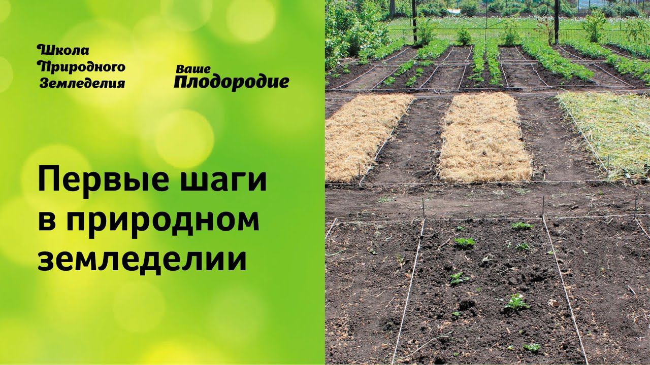 Первые шаги в природном земледелии
