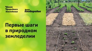 Первые шаги в природном земледелии