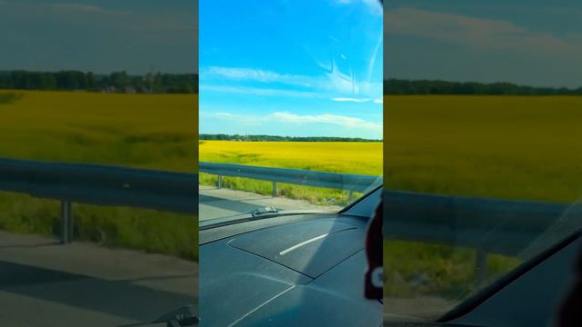 #hiphop #music #rapper #video #природа