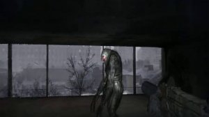 Metro 2033. Баг в библиотеке