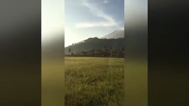 Mandi!!!!! Ada reticulatus python 😱😱😱 смотреть онлайн