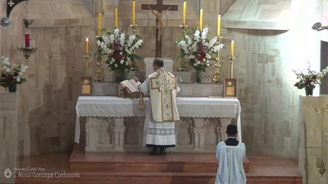 La Misa de Hoy: San Luis Gonzaga (21 de junio de 2021) смотреть онлайн