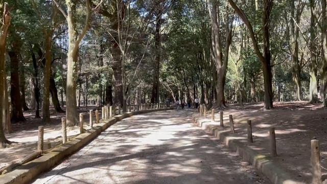 【音声解説】世界遺産・春日大社と興福寺の見どころを紹介（旅4日目） смотреть онлайн