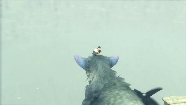 The Last Guardian - Beast Battle (19) смотреть онлайн