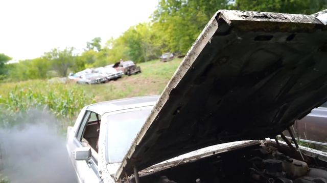 Abandoned Farm FULL of Old Cars - Will They RUN & DRIVE?? смотреть онлайн