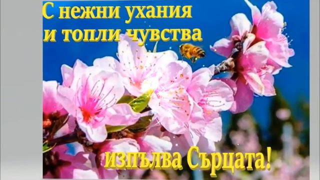 ЧЕСТИТА ПРОЛЕТ! смотреть онлайн