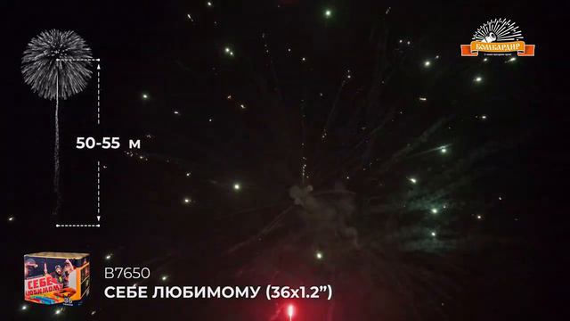 В7650 салют _Себе любимому_ (1,2Х36залпов) смотреть онлайн