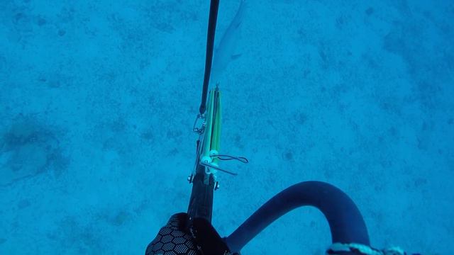 Spearfishing Dogtooth Tuna in Remote Australia смотреть онлайн