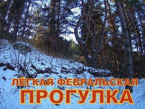 Лёгкая февральская прогулка смотреть онлайн