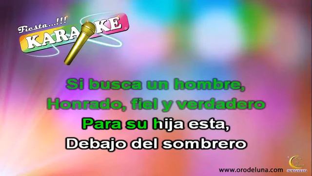 Pedro Fernandes DEBAJO DEL SOMBRERO karaoke смотреть онлайн