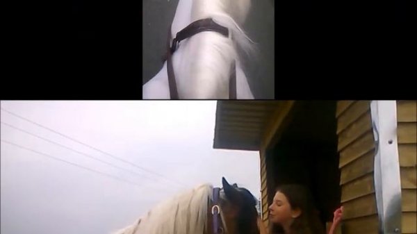 bonnie blue - destiny calling