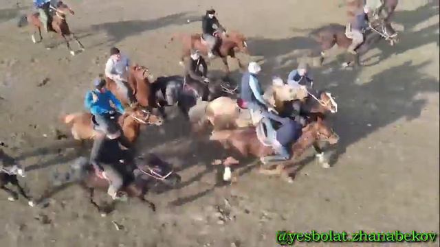 Ордабасы ауданы Жеңіс ауылы Шопаевтар әулеті берген көкпар 21.02.2023 жыл смотреть онлайн